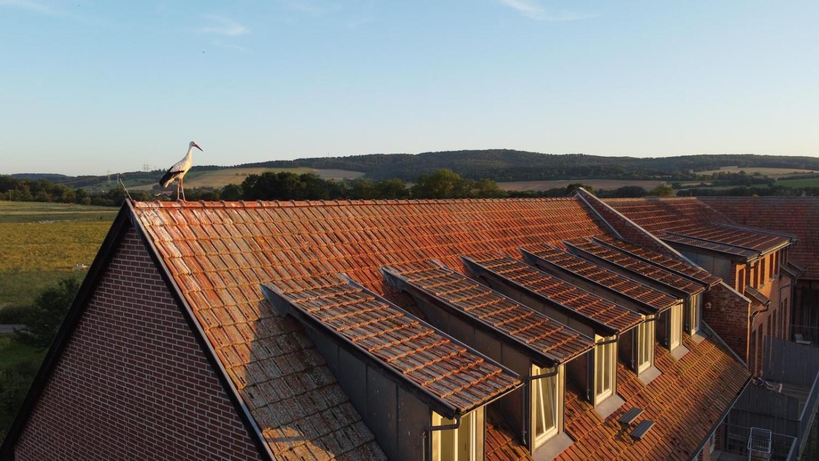Biohotel Stiftsgut Wilhelmsgluecksbrunn Creuzburg Esterno foto